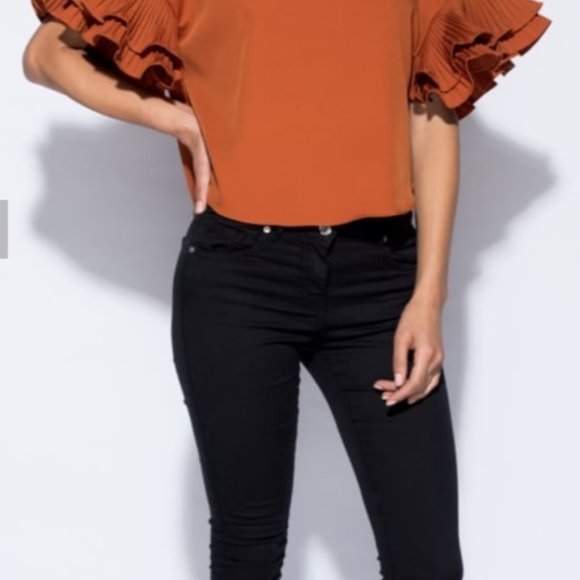 Pleated Detail Ruffle Sleeve Top-Colour-Rust - Picture 5 of 6